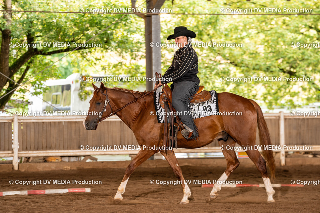 Erbach Tag 1-229 | dv-media-shop - Realisiert mit Pictrs.com