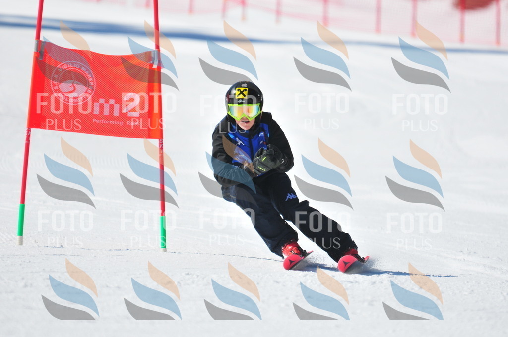 C4047 | holidayphoto