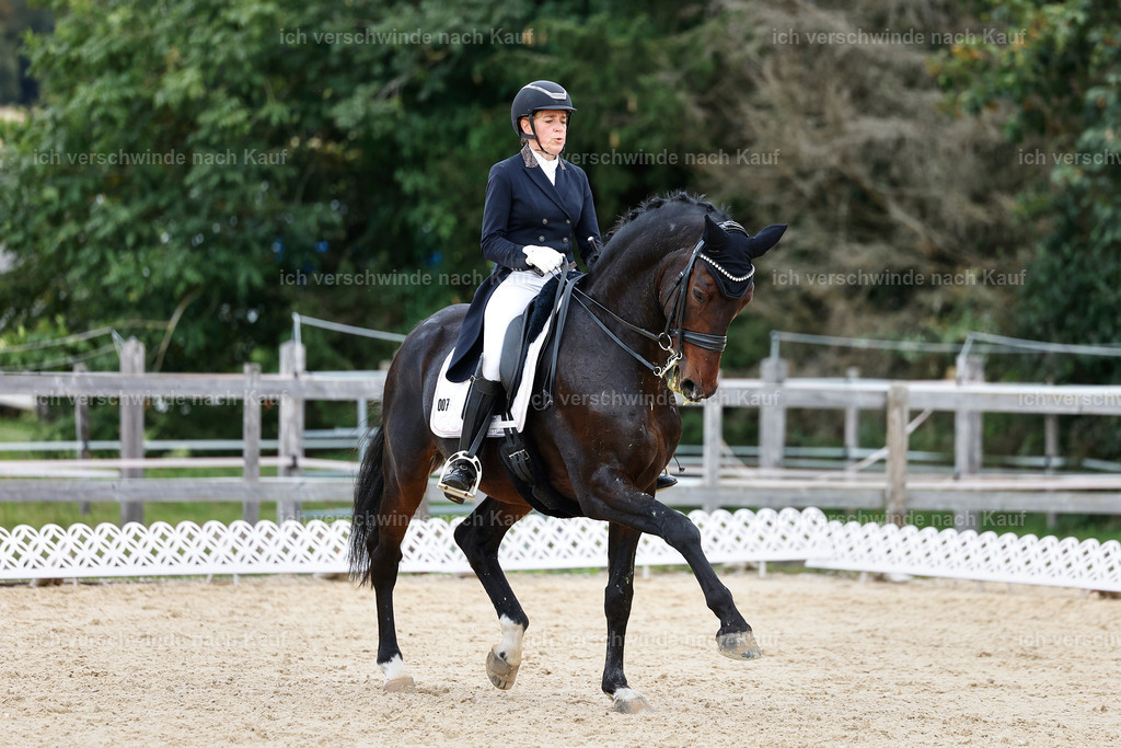 11-007-Dressur S___-StoibPH-1123 | working equitationturnier fotograf videograf stoibphotography marixx film working equitation deutschland reitsport turnierfotografie eventfotografie equestrian events