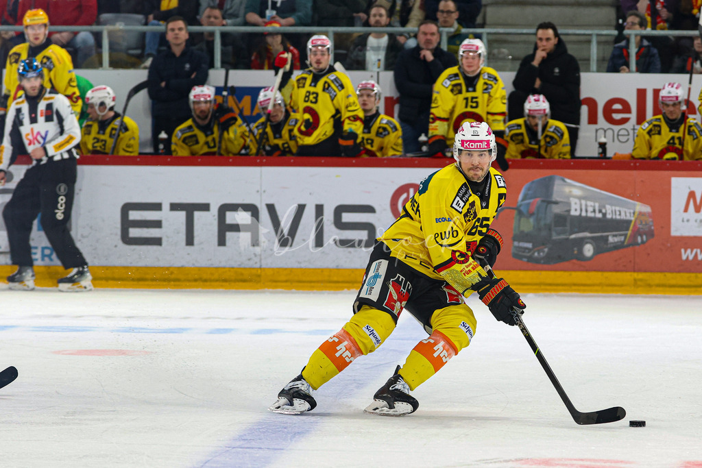 EHCB vs SCB 20260312_wb-4260 | Sportbilder, Sportfotograf, Hochzeits- und Eventfotografin, Flugshows, Portraits und Tiershooting, Aviation, Downhill, Nationalleague, Swissleague, International