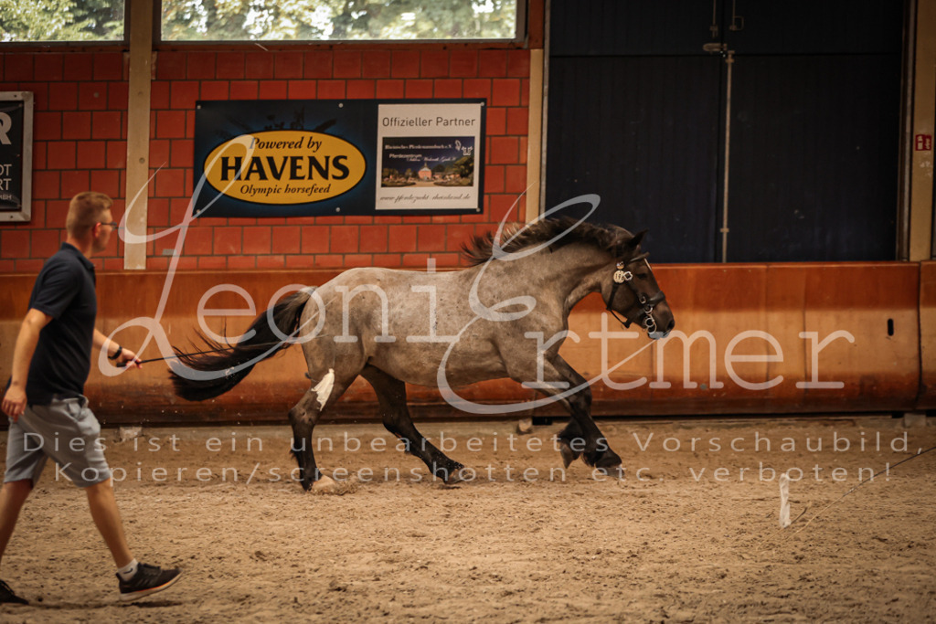 SaFL00340 | Leoni Ertmer Photography - Realisiert mit Pictrs.com