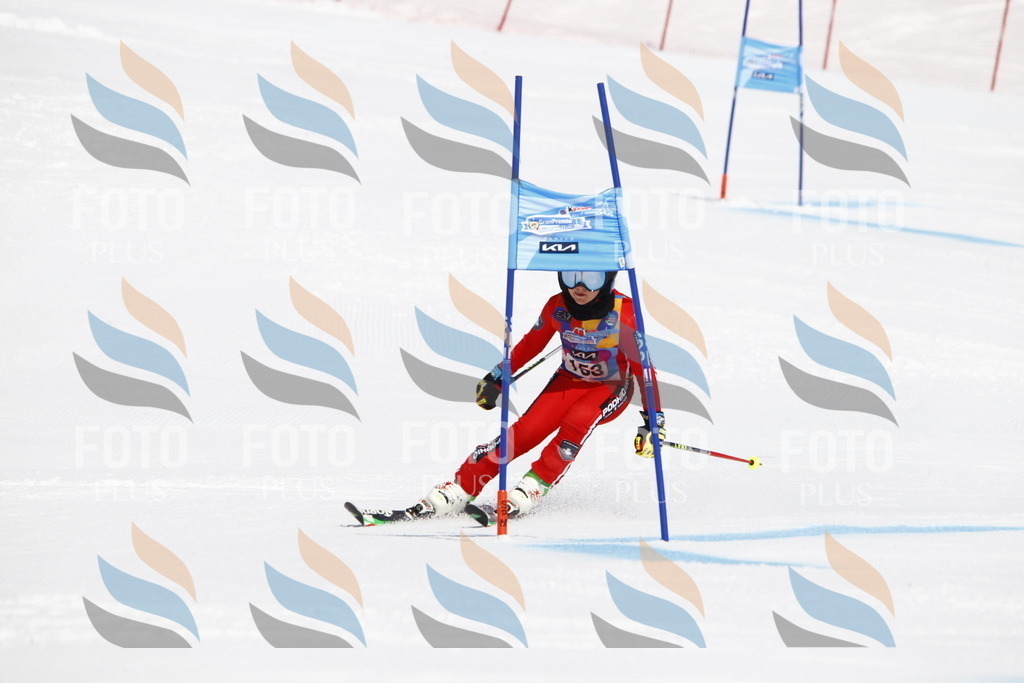 _U3G4139 | holidayphoto