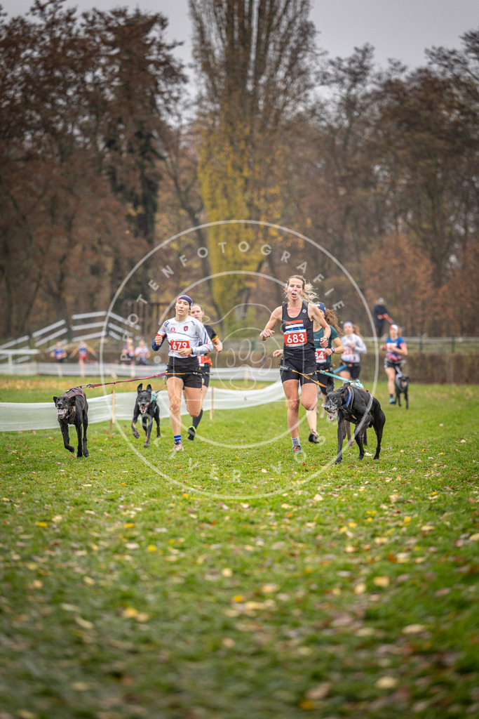 CaniXpix_DV3A8974 | Hundefotografie, Tierfotograf, Pfotenfotografie, Fotoshooting Hund, Hunde Portrait, Hundesport, Hundeportraits, Heideshooting, Hunde, Sportfotograf, Hundefotograf, Turnierhundsport, THS,  - Realisiert mit Pictrs.com