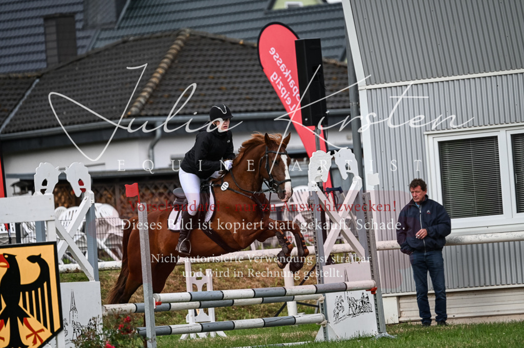 DSC_8366 | Pferde- und Turnierfotografie in Westsachsen. Pferdeportraits, Auftragszeichnungen und intuitive Kunst.