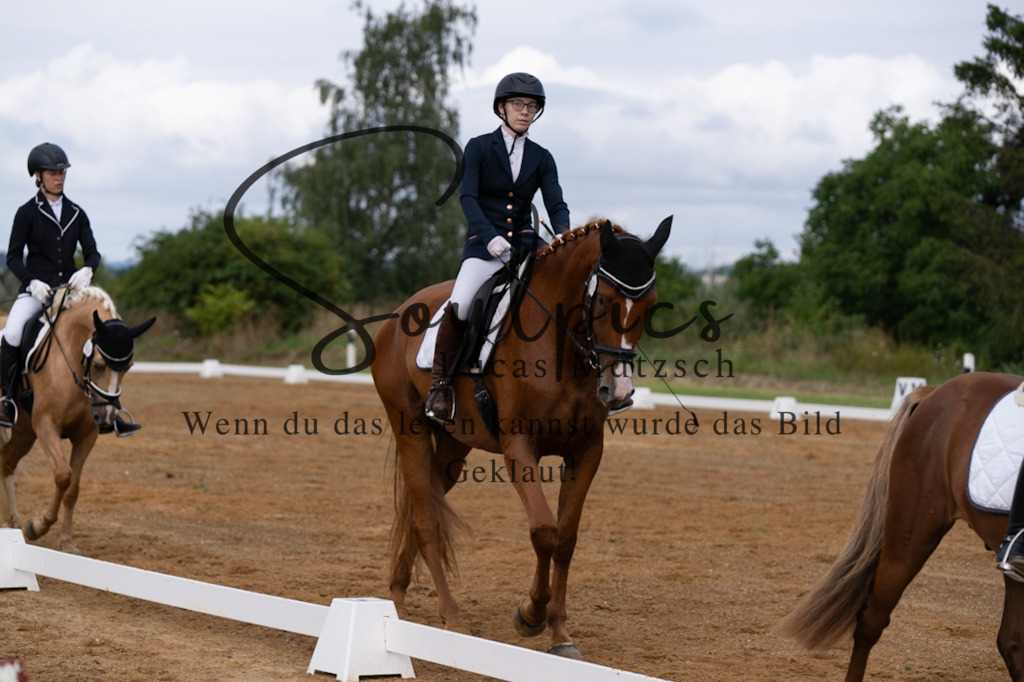 A7V03813 | Turnier/Reitfotograf