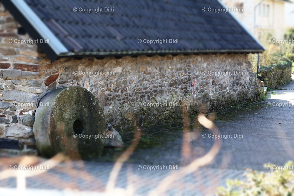 IMG_2159 | Didi - Realisiert mit Pictrs.com