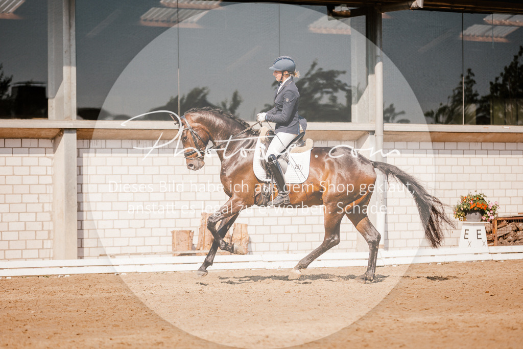 3I6A9164 | Stimmungsvolle Portraits und Reitsportfotografie im Ruhrgebiet und im Münsterland.

Pferdefotografie, Hundefotografie, Tierfotografie, Reportagen, Portraits von Tier und Mensch, Turnierfotografie in Bochum, Recklinghausen, Marl, Haltern am See, Dülmen.. - Realisiert mit Pictrs.com