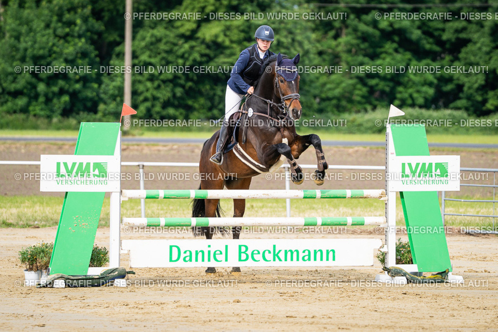 DSC03638 | Pferdegrafie