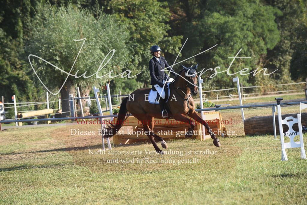 DSC_4893 | Pferde- und Turnierfotografie in Westsachsen. Pferdeportraits, Auftragszeichnungen und intuitive Kunst.