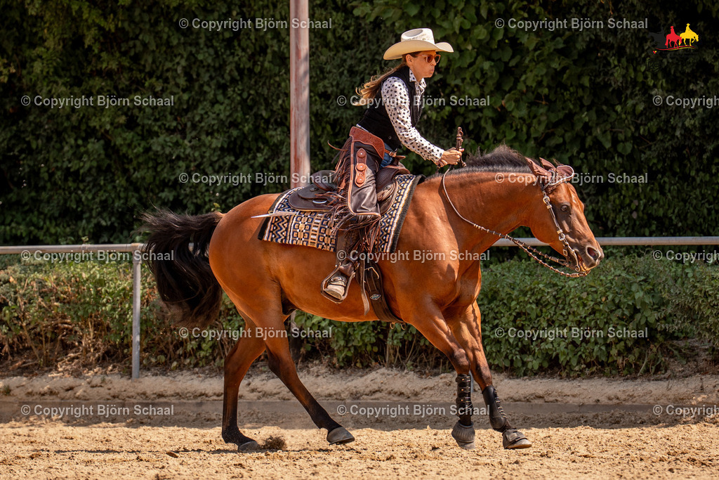 LMS05929 | BS-foto