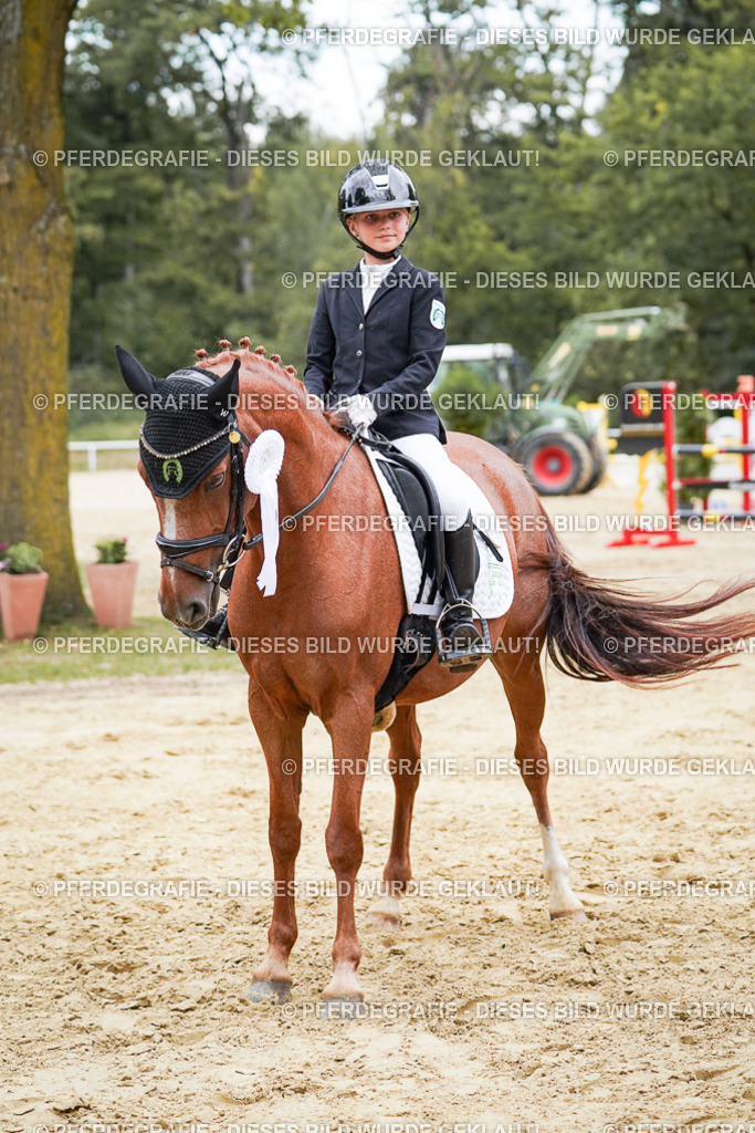 DSC06107 | Pferdegrafie