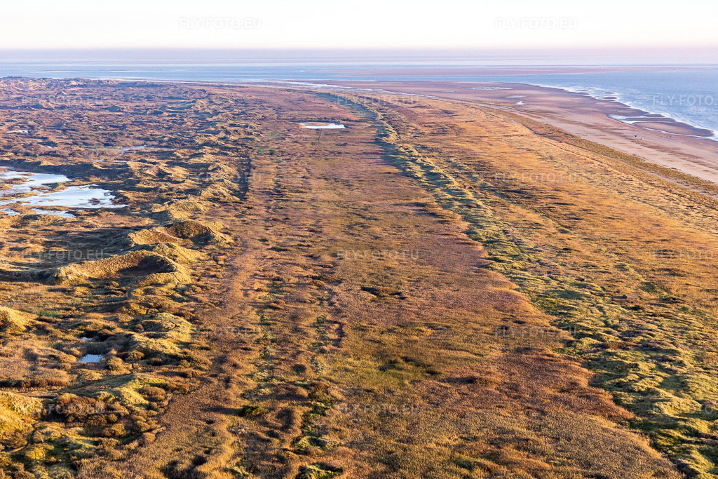 Vue aérienne: Parc national de la mer des Wadden à Fanø dans le département Syddanmark, Danemark. Photo: IMG_118958.jpg prise le 21/09/2019 par Werner Riehm/FLY-FOTO.eu – Résolution de l'original: 5312 x 3541 px