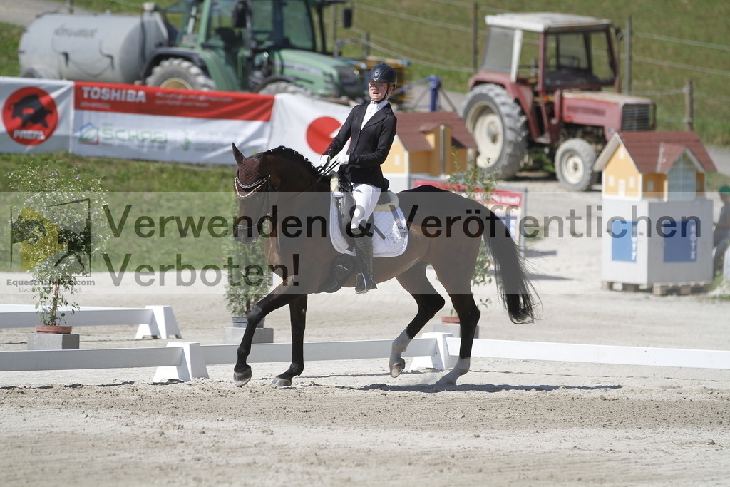 _MG_0538 | equestrian-live-com