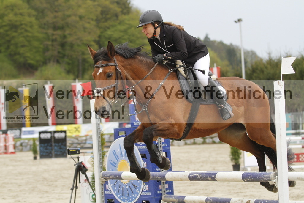 _MG_1033 | equestrian-live-com