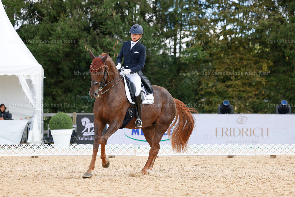 09_2-094-DRESSUR  S_  -StoibPH-5865 | working equitationturnier fotograf videograf stoibphotography marixx film working equitation deutschland reitsport turnierfotografie eventfotografie equestrian events