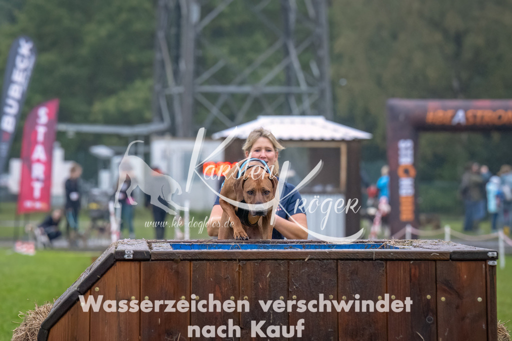 1227- | kk-dogfotos