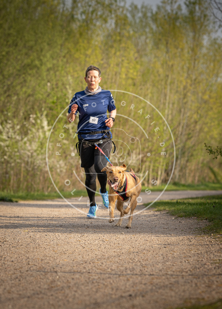 Pfotenfotografie_DV3A4673 | Hundefotografie, Tierfotograf, Pfotenfotografie, Fotoshooting Hund, Hunde Portrait, Hundesport, Hundeportraits, Heideshooting, Hunde, Sportfotograf, Hundefotograf, Turnierhundsport, THS,  - Realisiert mit Pictrs.com