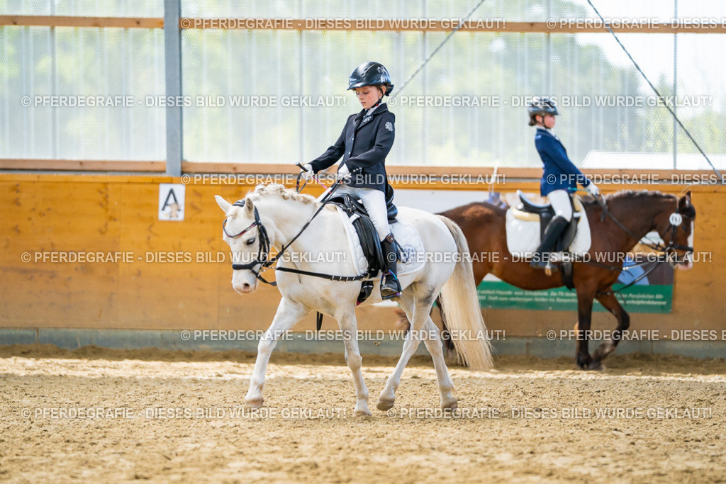 DSC00956 | Pferdegrafie