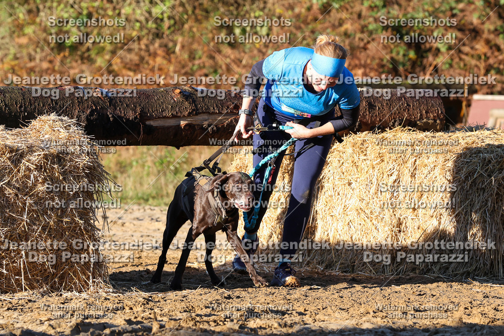 Dog Paparazzi - Strongdog 10-25-1049 | Dog Paparazzi Jeanette Grottendiek Fotografie & Videografie - Realisiert mit Pictrs.com