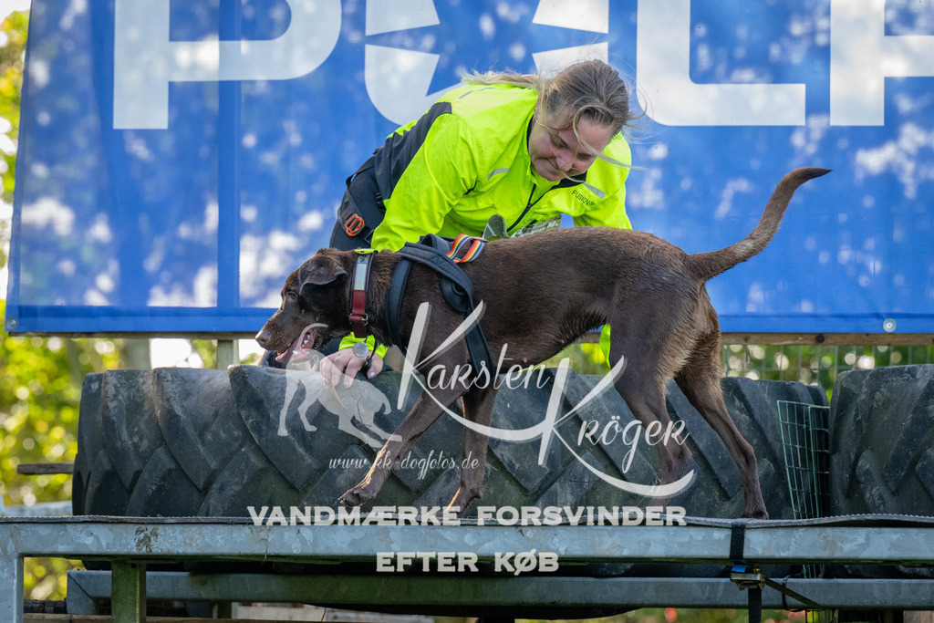 1134-92181 | kk-dogfotos