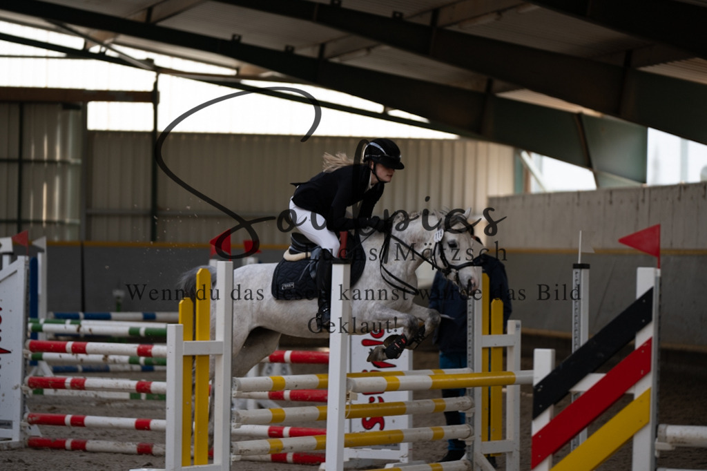 A7V08236 | Pferdefotograf