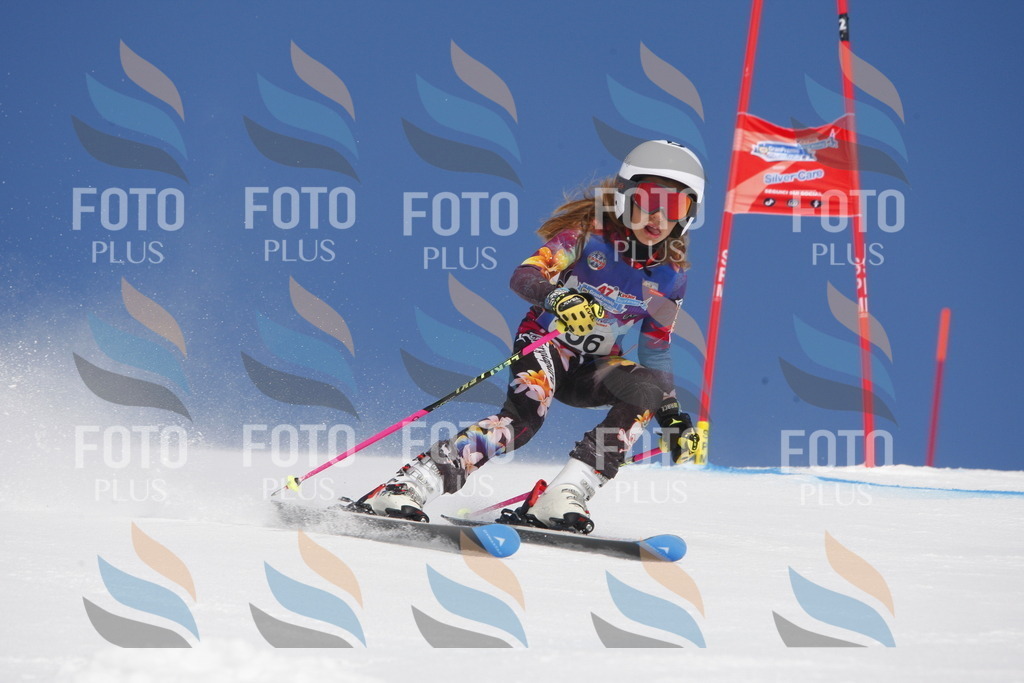 _W1G0818 | holidayphoto