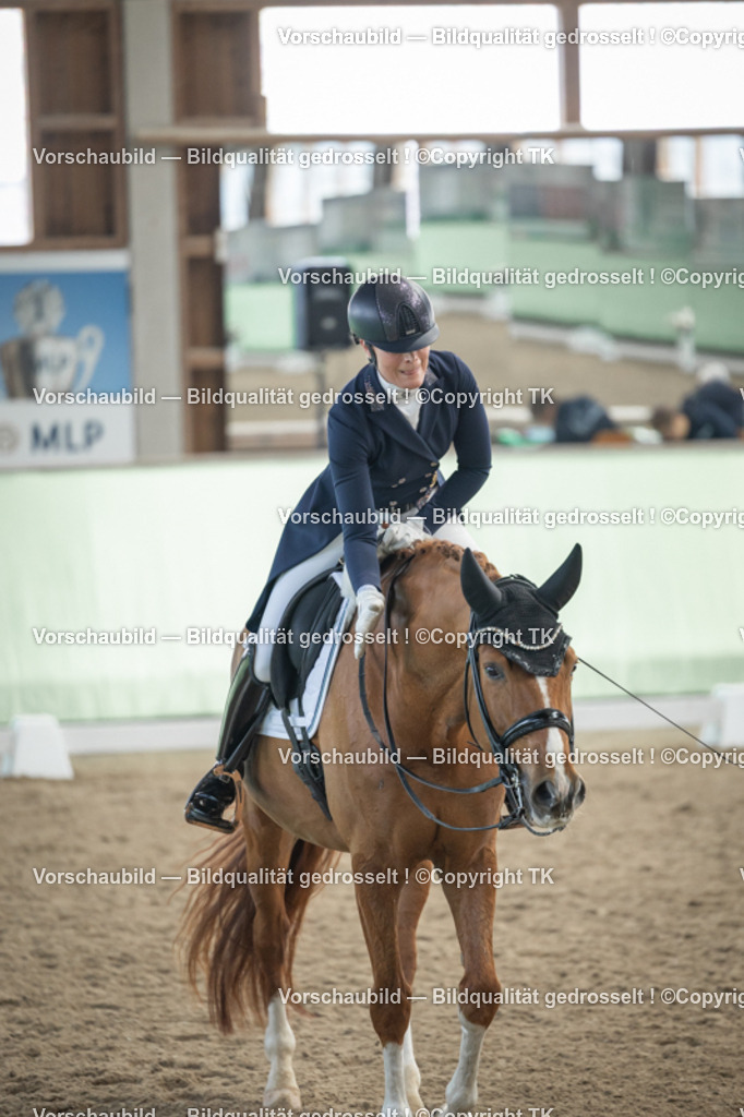 _D5A5310 | Emotionale Pferde- & People-Fotografie rund um Heidelberg, Leimen & Umgebung. Natürliche Fotos von Pferd, Mensch & Familie. Jetzt Termin sichern!