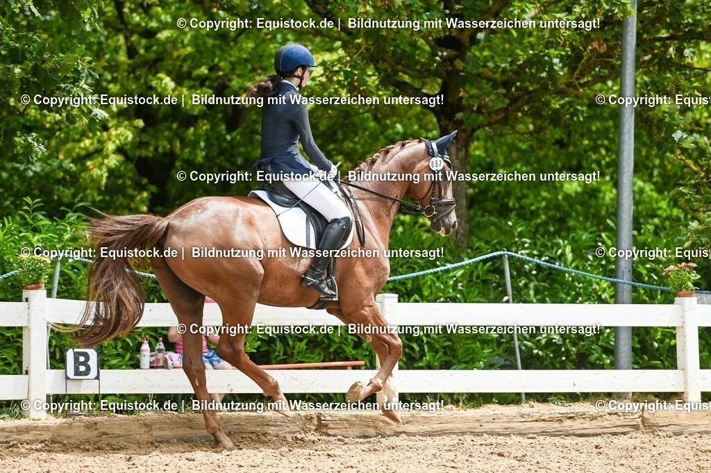 20230716_03_Dressurprfg. Kl.L - Tr._0332 | equistock