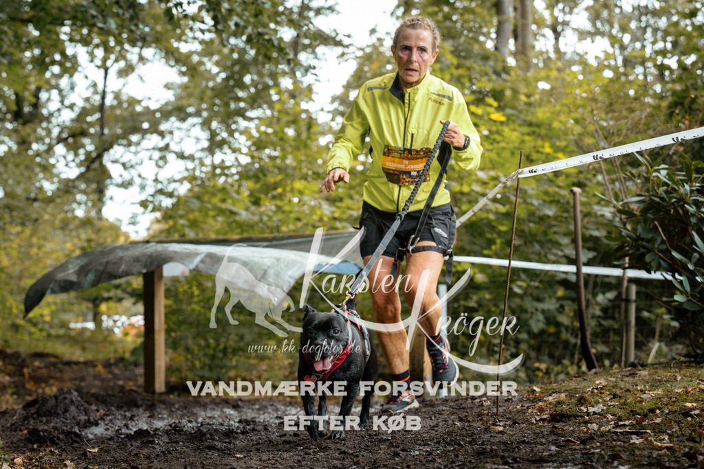 1428DZ6_2359Z6 | kk-dogfotos