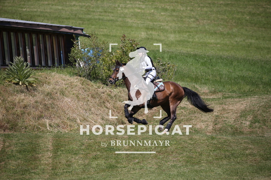 DL2Q1608 | Willkommen bei Brunnmayr - Design & Fotografie – Ihrem Spezialisten für Reitturniere und Pferdeveranstaltungen in Oberösterreich, Salzburg und Bayern! Seit über 17 Jahren sind wir leidenschaftlich dabei.