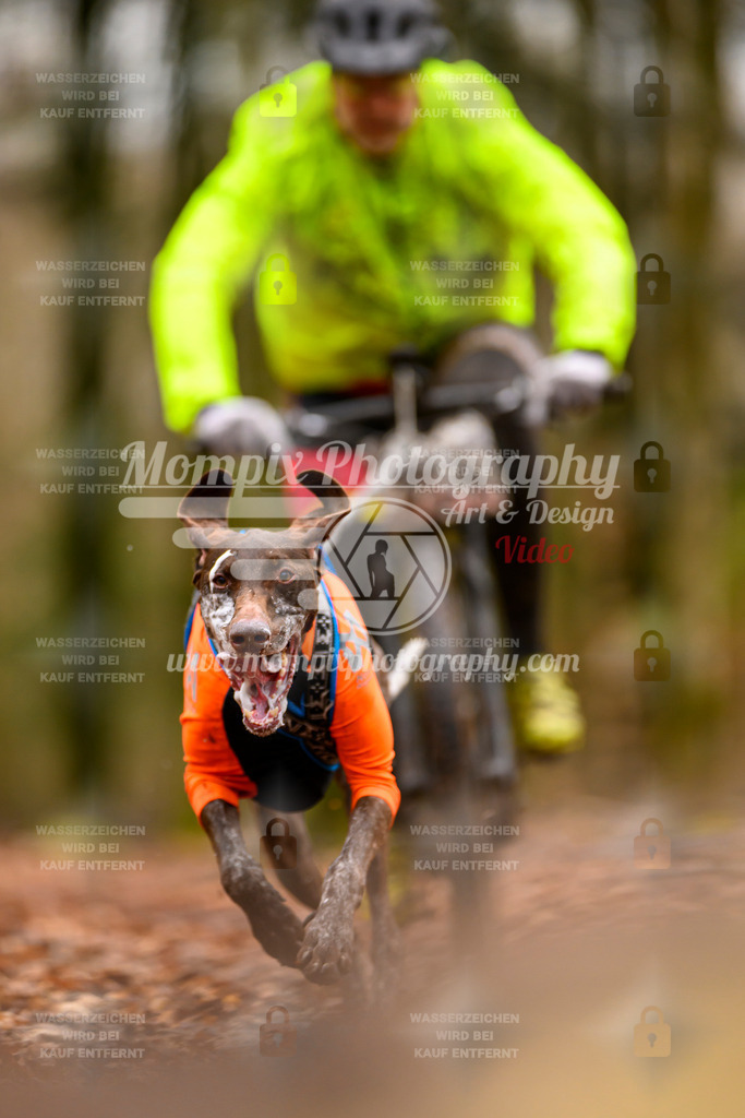 MompixPhotography_Habay2024_SA_Bike-12 | PayLife