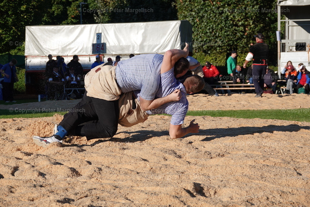 DSC01920 | Schwingen - Realisiert mit Pictrs.com