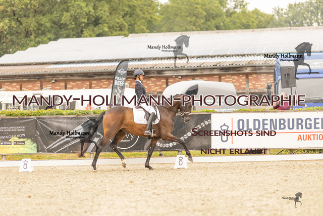 SW 4-927 | mandyhollmannphotographie