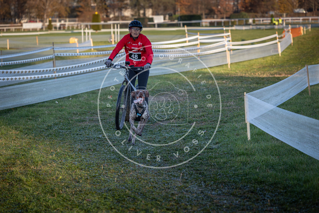 CaniXpix_0L8A2524 | Hundefotografie, Tierfotograf, Pfotenfotografie, Fotoshooting Hund, Hunde Portrait, Hundesport, Hundeportraits, Heideshooting, Hunde, Sportfotograf, Hundefotograf, Turnierhundsport, THS,  - Realisiert mit Pictrs.com