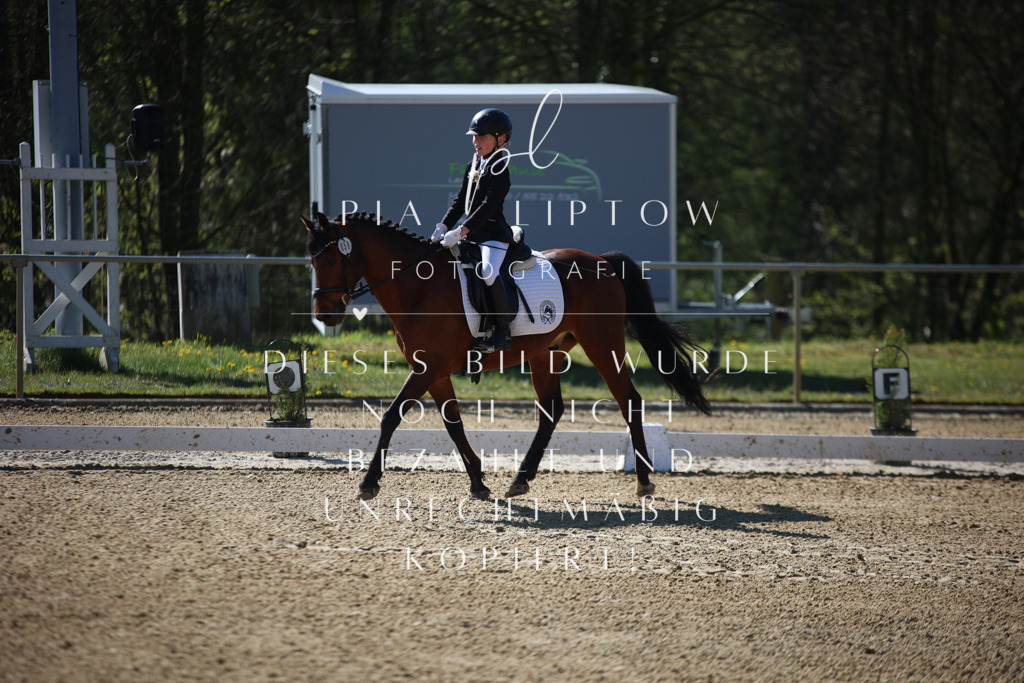 IMGT9505 | pl-fotografie