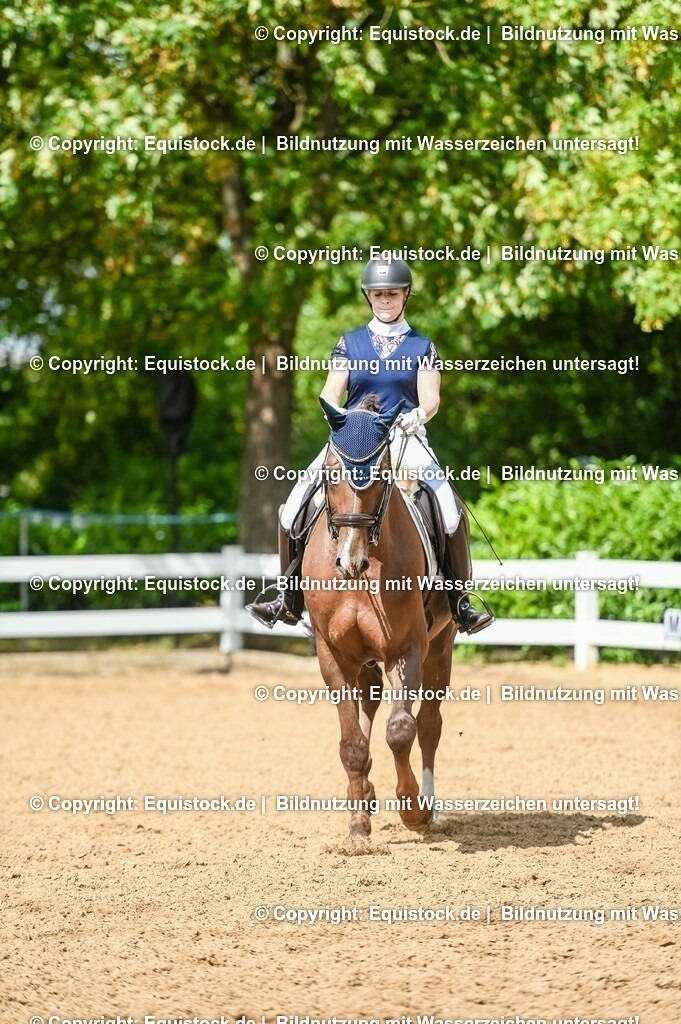 20230716_01_Dressurprüfung Kl.M_0355 | equistock