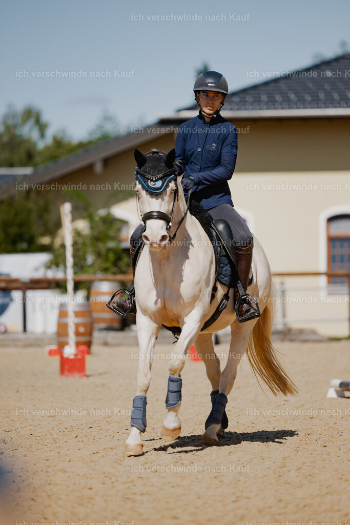 Nici11_FHC2025-27229 | working equitationturnier fotograf videograf stoibphotography marixx film working equitation deutschland reitsport turnierfotografie eventfotografie equestrian events