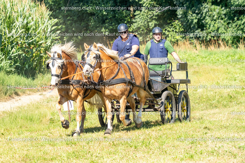 2026-08-08_14-45-21_WBO_Pulsnitz | sternberg.click - Realisiert mit Pictrs.com