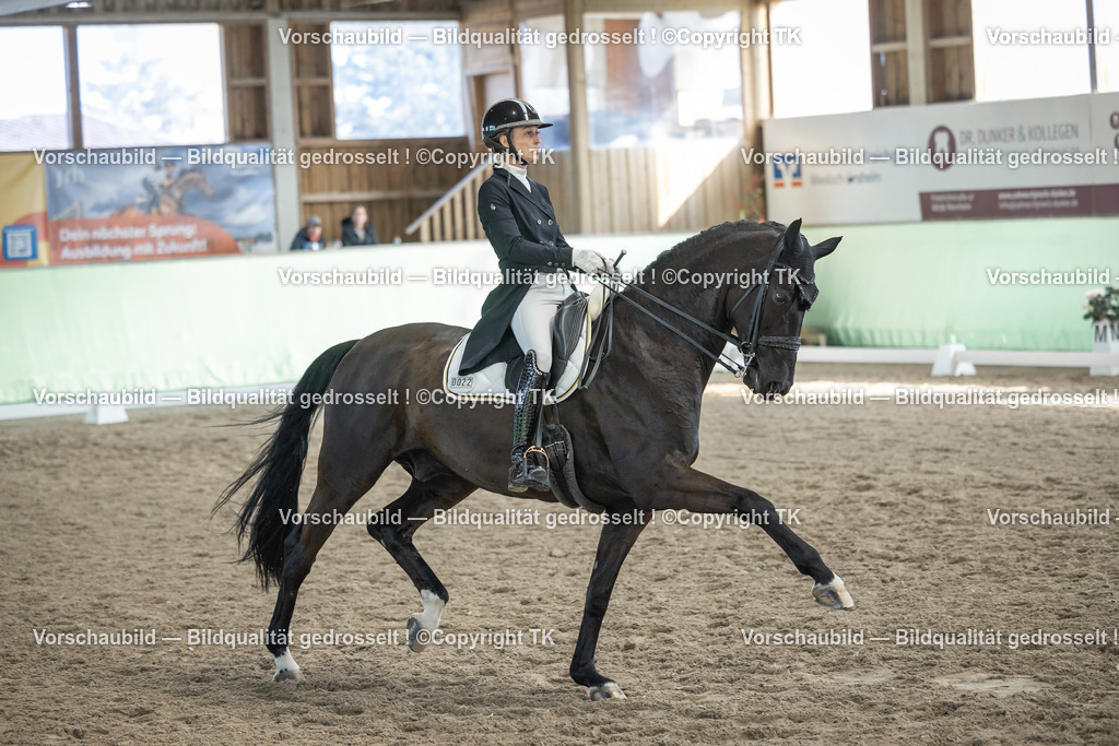 _D5A0285 | Emotionale Pferde- & People-Fotografie rund um Heidelberg, Leimen & Umgebung. Natürliche Fotos von Pferd, Mensch & Familie. Jetzt Termin sichern!