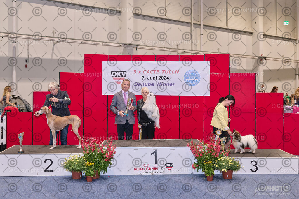 202406_ÖKV-IHA-Tulln24_NZ9_7786 | proPHOTO - Realisiert mit Pictrs.com