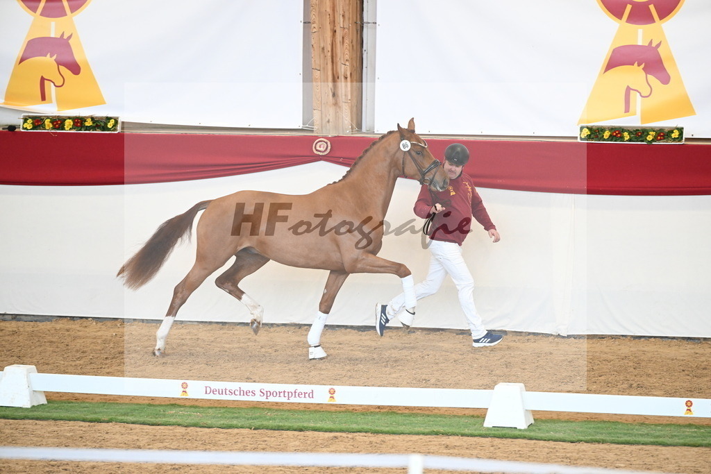 Kat.-Nr. 86 v. Vitalis_Bachinger_2250856 | hf-fotografie - Realisiert mit Pictrs.com