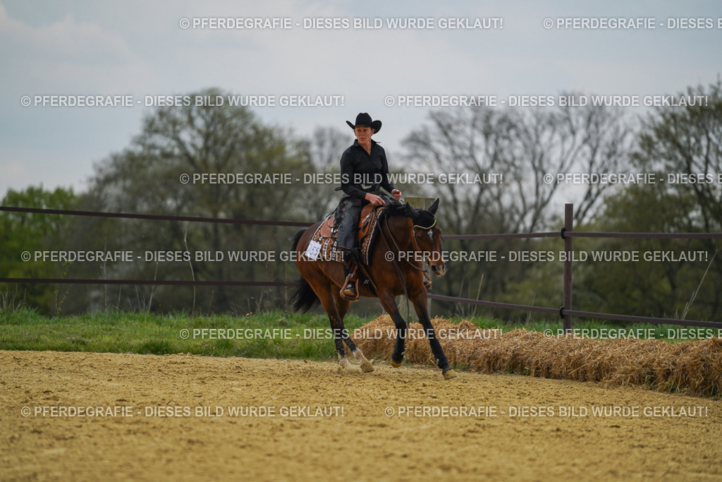 DSC07693 | Pferdegrafie