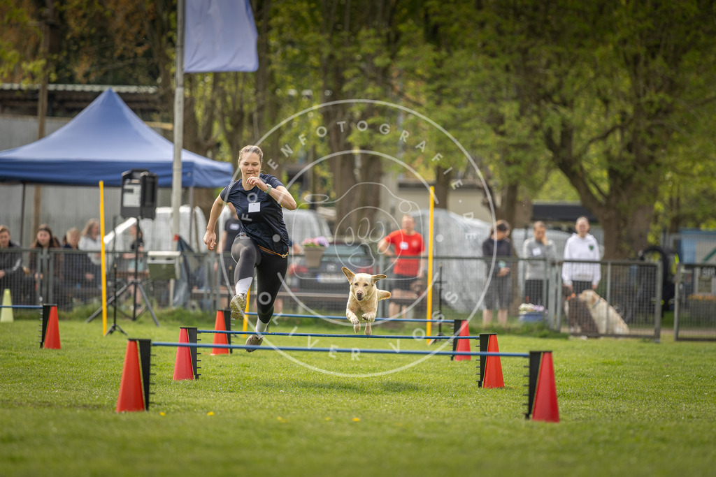 Pfotenfotografie_DV3A5783 | Hundefotografie, Tierfotograf, Pfotenfotografie, Fotoshooting Hund, Hunde Portrait, Hundesport, Hundeportraits, Heideshooting, Hunde, Sportfotograf, Hundefotograf, Turnierhundsport, THS,  - Realisiert mit Pictrs.com