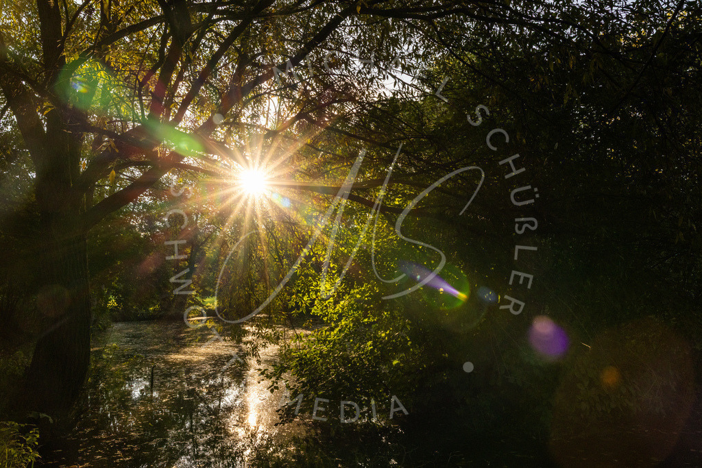 2025-10-02 Ludwigsburg Schloss Monrepos 027 | Schwotte Media - Realisiert mit Pictrs.com