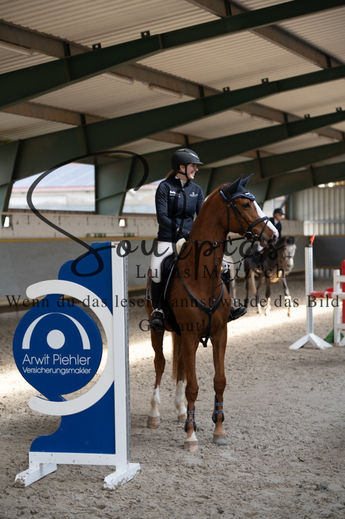 A7V08250 | Pferdefotograf