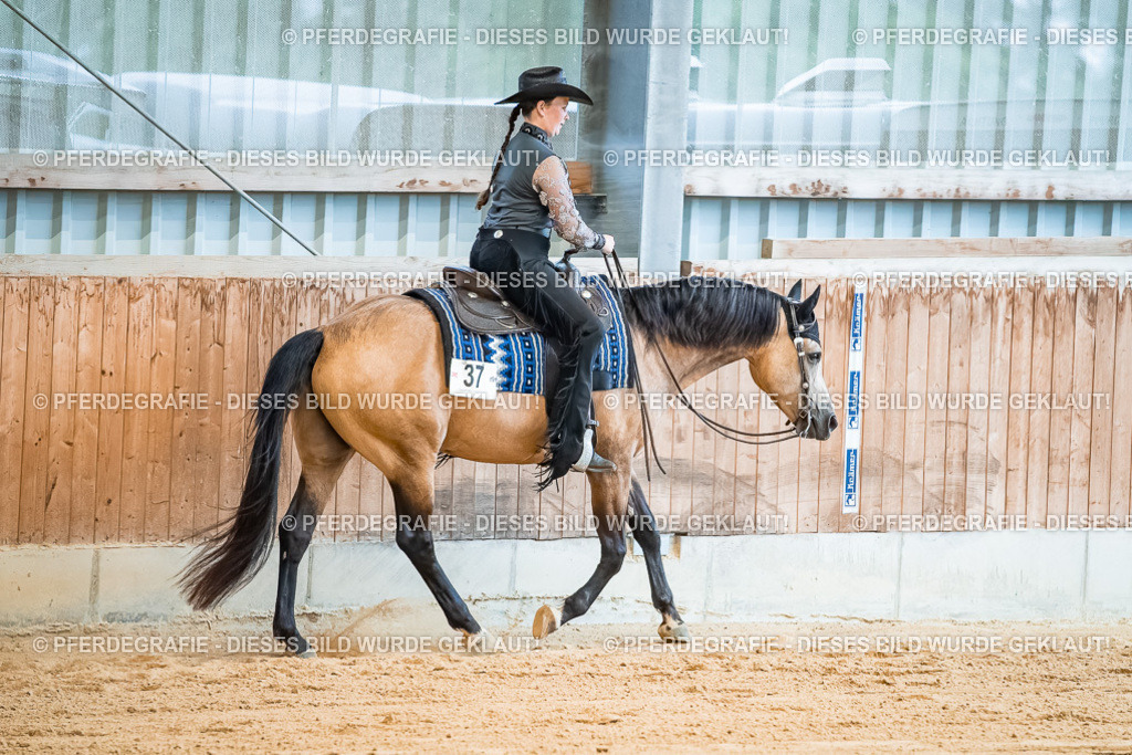 DSC00059 | Pferdegrafie