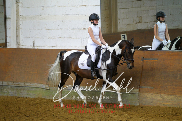 DKP43977 | Turniersportfotografie; Pferdefotografie; Dressurfotografie