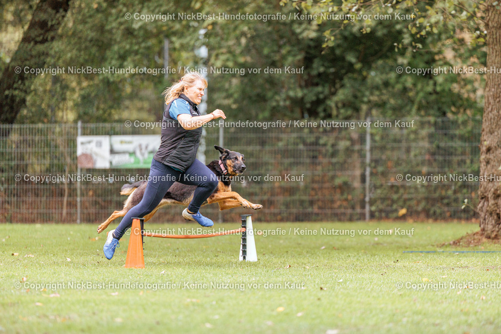 THS-HSV-Blumenthal-2026-Nickbest-Hundefotografie-4702 | Dein Hund! Dein Moment! Deine Erinnerungen! Hundefotografie in Bremen Blumenthal. Ich fange die besonderen Momente deines Vierbeiners ein – ob Indoor mit Blitzanlage oder in der freien Natur. Sicher dir dein Moment und dein Termin für eure Erinnerungen.