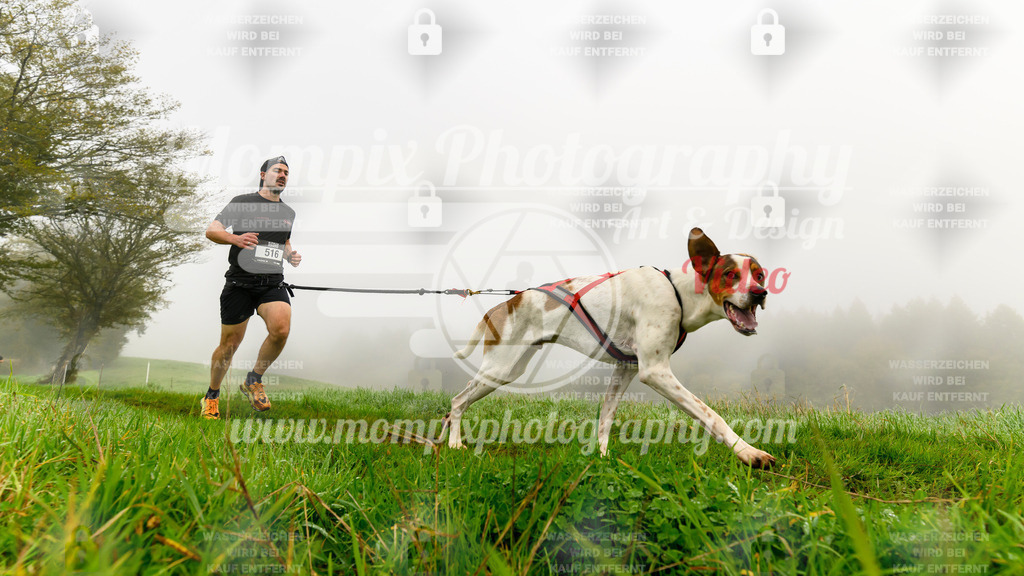 MompixPhotography_20TSB_E5_Run-20 | PayLife