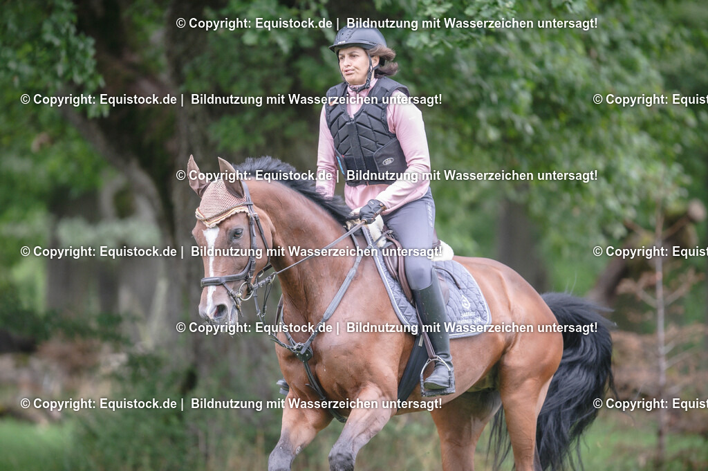 20250726_Vielseitigkeitslehrgang-Marbach_0250 | Foto: Thomas Hartig